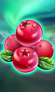 Winterberries